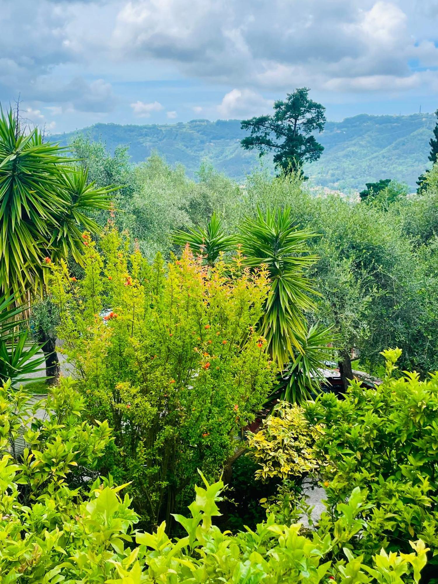 Bed & Breakfast Casa Del Sole Camaiore